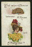 What is the difference between a mouse and a pretty girl?