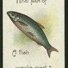 What part of a fish weighs most?