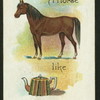 Why is a horse like a teapot?