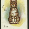 What is it which a cat has but no other animal?