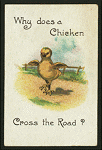 Why does a chicken cross the road?