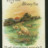 Why are sheep the most dissipated animals?