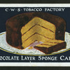 Chocolate layer sponge cake.