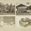 Indian artisans; An Indian bullock cart; Indian artisans; Orang-outang [i.e. orangutan] from Borneo