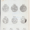 Expériences au sujet de la génération.  Fig. 13-25.