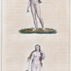 Ill. to Chapter: "De l'Age Viril. Description de l'homme."