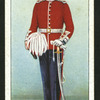 One of H.M.'s Lieutenants of Counties.