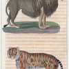 1. Le Lion. 2. Le Tigre.