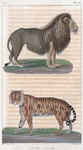 1. Le Lion. 2. Le Tigre.