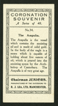 The Ampulla.