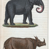 1. L'Éléphant. 2. Le Rhinocéros.