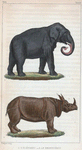 1. L'Éléphant. 2. Le Rhinocéros.