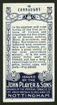 Connaught, horse breeding.