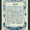 Siam.