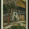 Country scenes