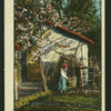 Country scenes