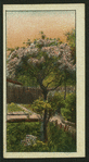 Country scenes
