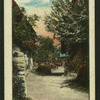 Country scenes