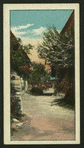 Country scenes