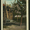Country scenes