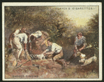 Badger-digging.