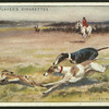 Coursing.