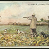 Partridge-shooting over dogs.