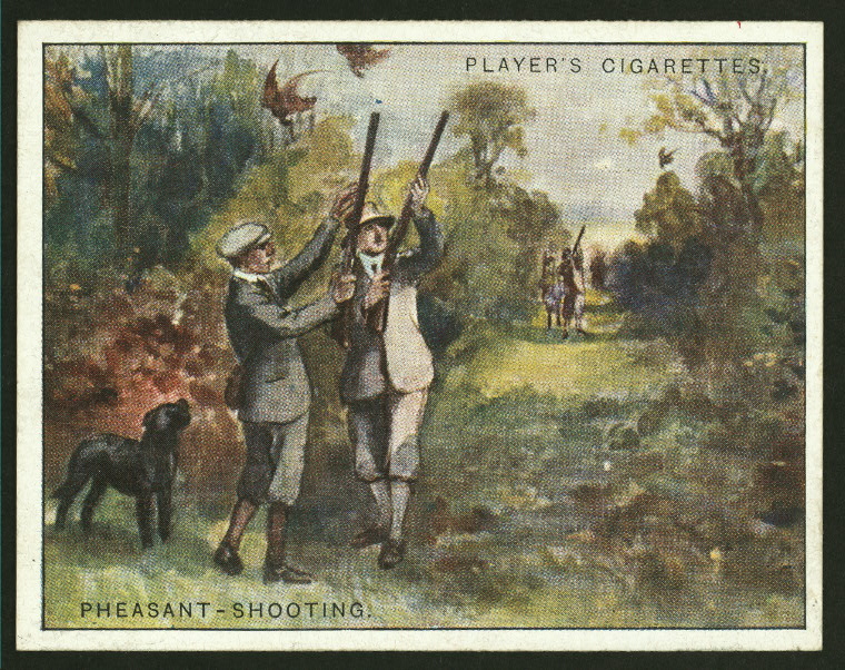 Pheasantshooting. NYPL Digital Collections
