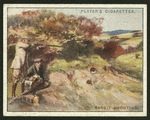 Rabbit-shooting.