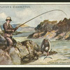 Salmon-fishing.