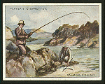 Salmon-fishing.