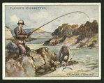 Salmon-fishing.