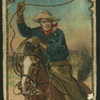 Throwing the lasso.