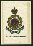 st (King's) Dragoon Guards.