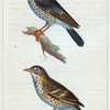 1. La Draine. 2. Le Moqueur.