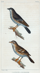 1. La Draine. 2. Le Moqueur.