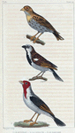 1. Le Moineau.  2. Soulcie. 3. Le Paroare.