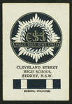 Cleveland Street High School.