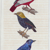1. Le Manaquin à tête d'or. 2. Le Pompadour. 3 Le Petit Azur.