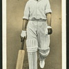 S.J. McCabe.