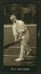 Cricketers