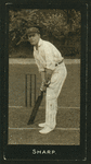 Cricketers