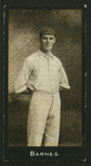 Cricketers