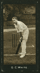 Cricketers