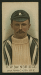 Cricketers, 1896