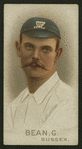 Cricketers, 1896