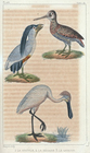 Index