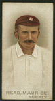 Cricketers, 1896