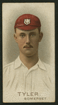 Cricketers, 1896