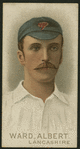 Cricketers, 1896